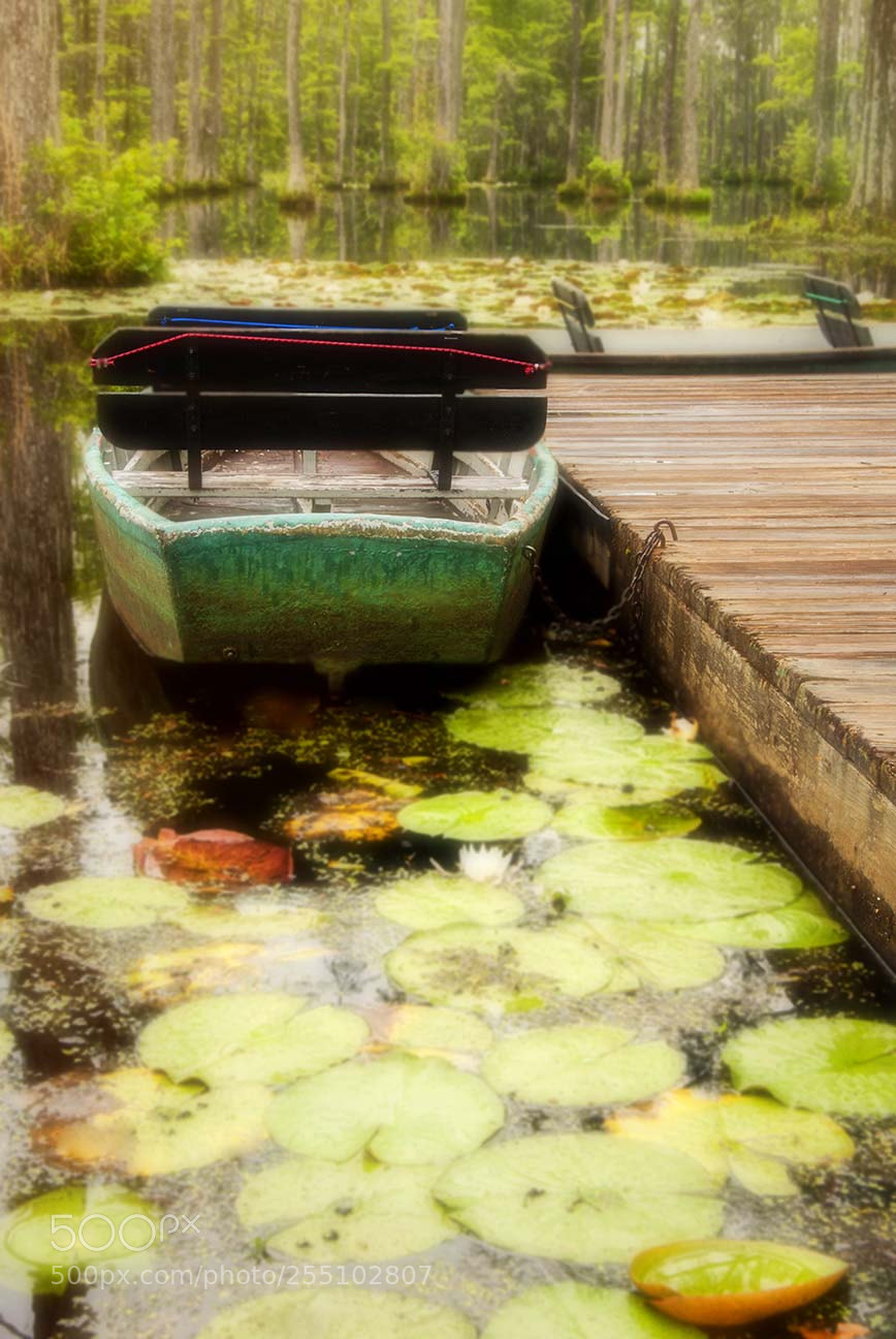Nikon D200 sample photo. Boat rental photography