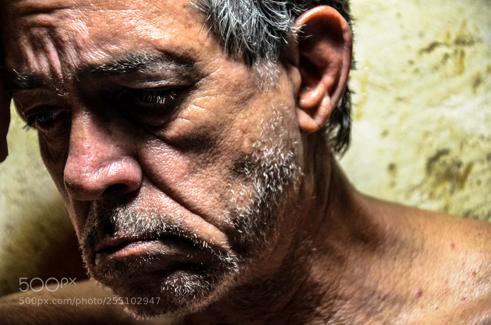 Nikon D7000 sample photo. Untitled photography