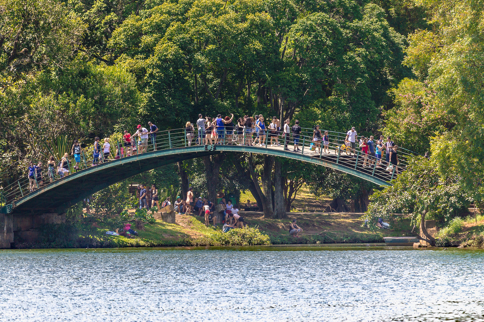 Canon EOS 1200D (EOS Rebel T5 / EOS Kiss X70 / EOS Hi) sample photo. Metal bridge of ibirapuera photography