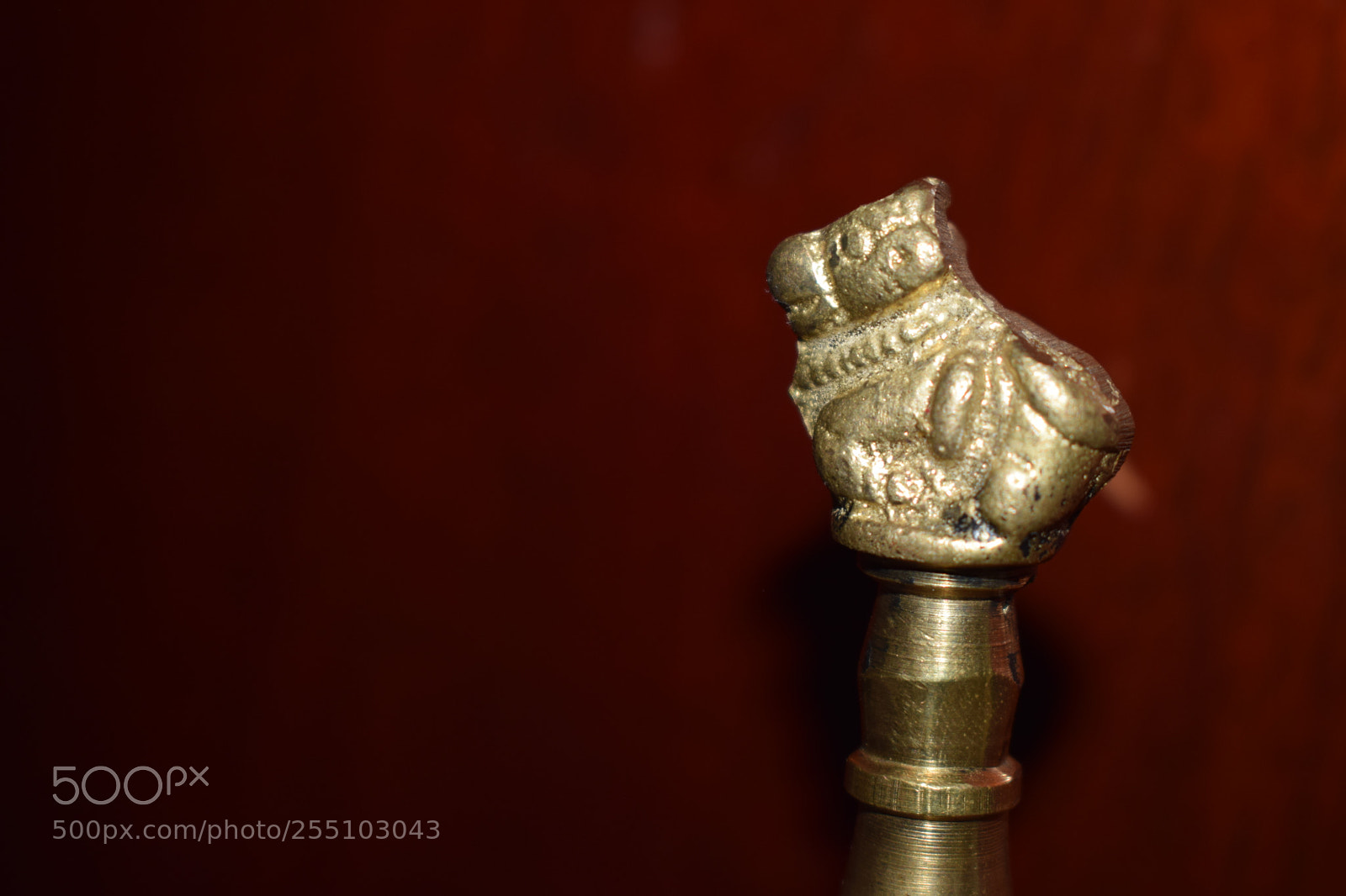 Nikon D5300 sample photo. Untitled photography