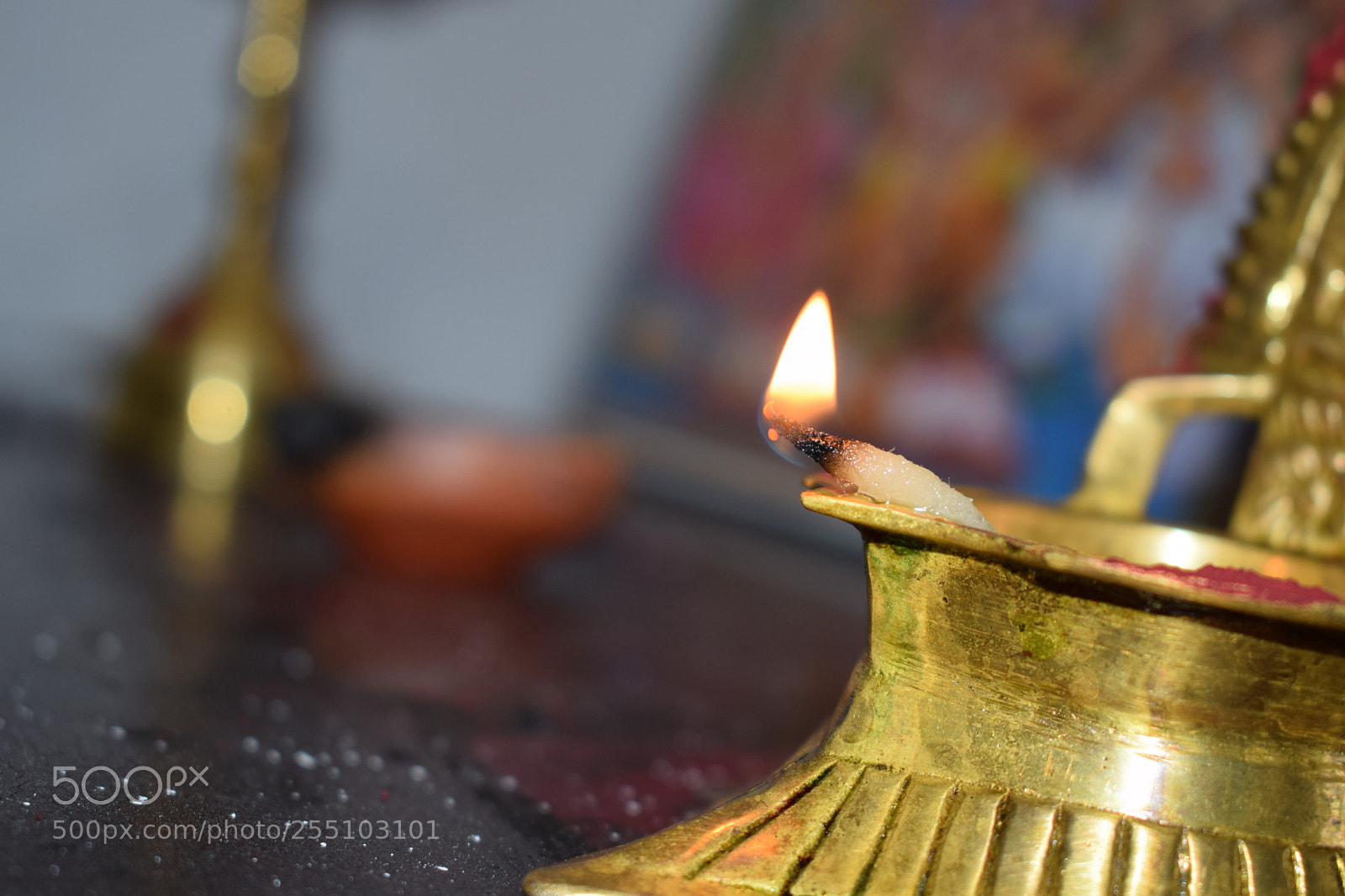 Nikon D5300 sample photo. Untitled photography