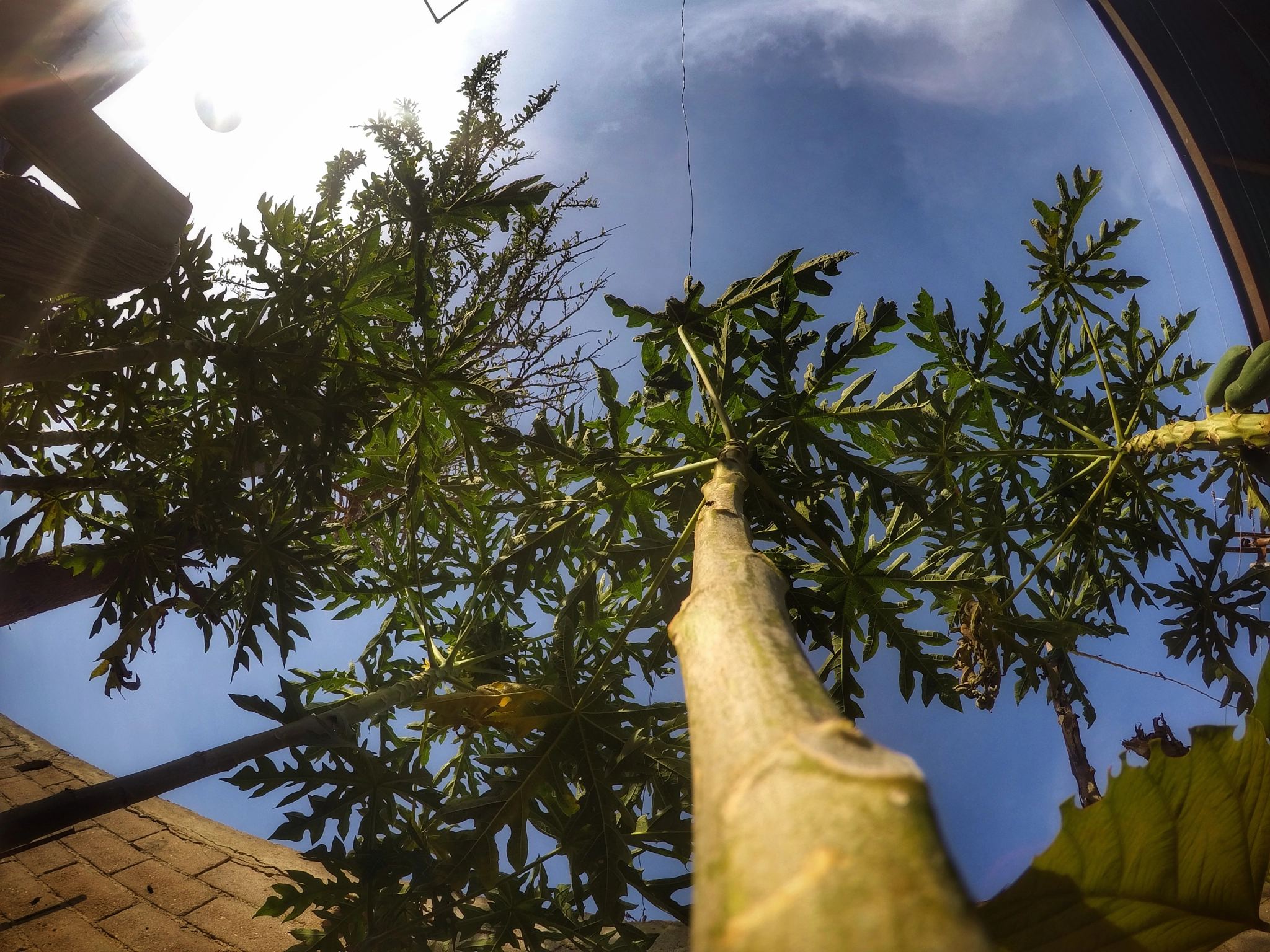 GoPro HERO4 Silver sample photo