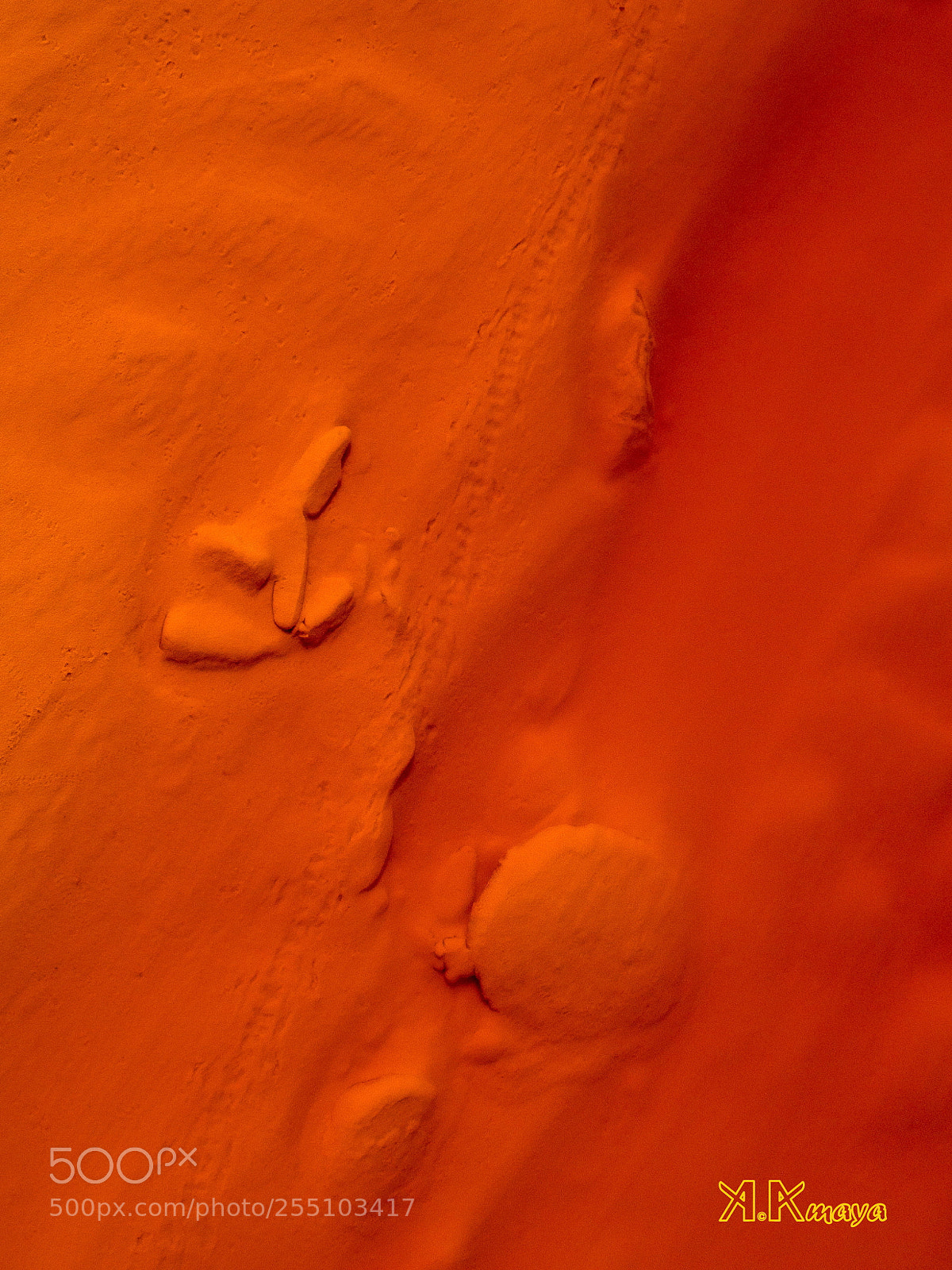 Olympus OM-D E-M10 II sample photo. Fondo tinto photography