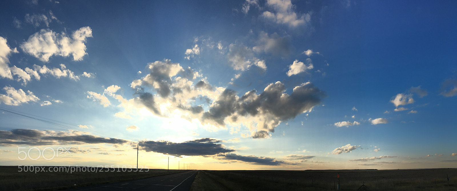 Apple iPhone 6s sample photo. Untitled photography