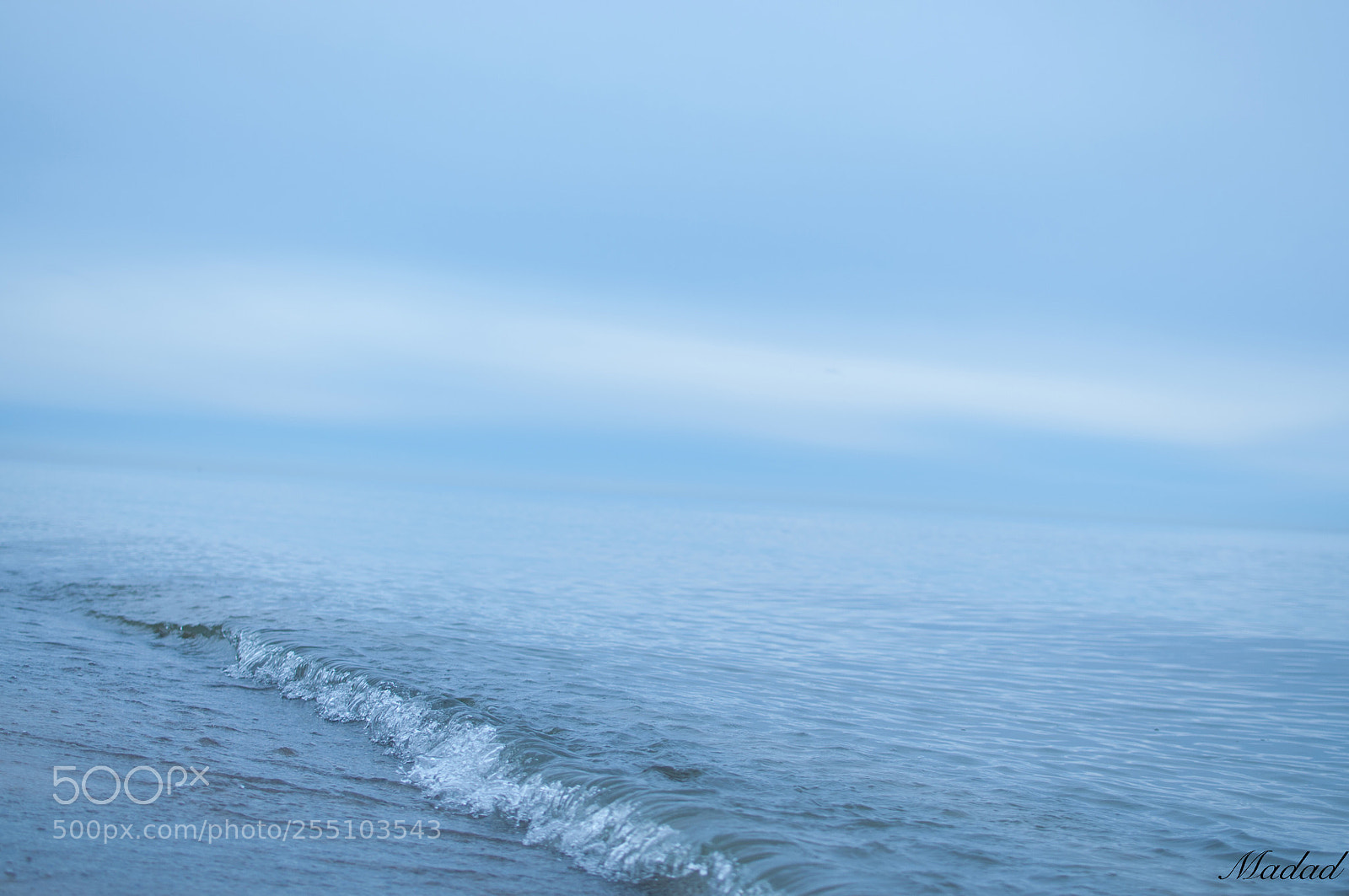 Nikon D90 sample photo. Untitled photography