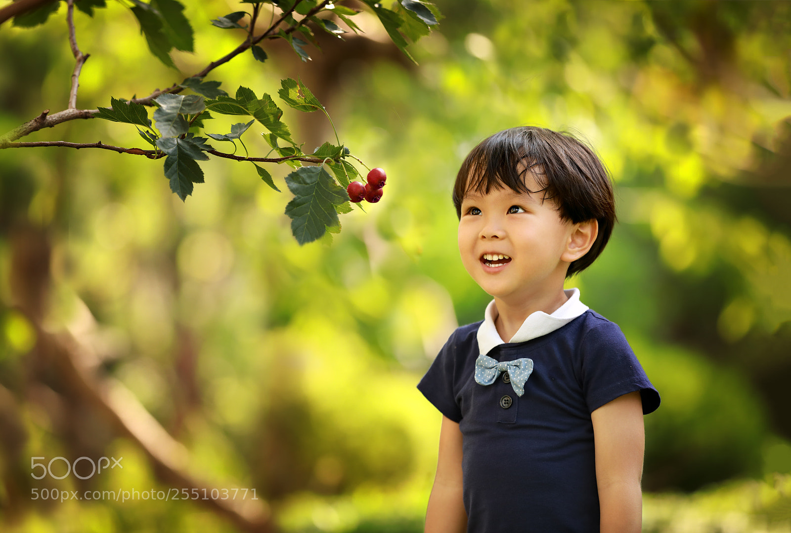 Canon EOS 5D Mark IV sample photo. 山楂 photography
