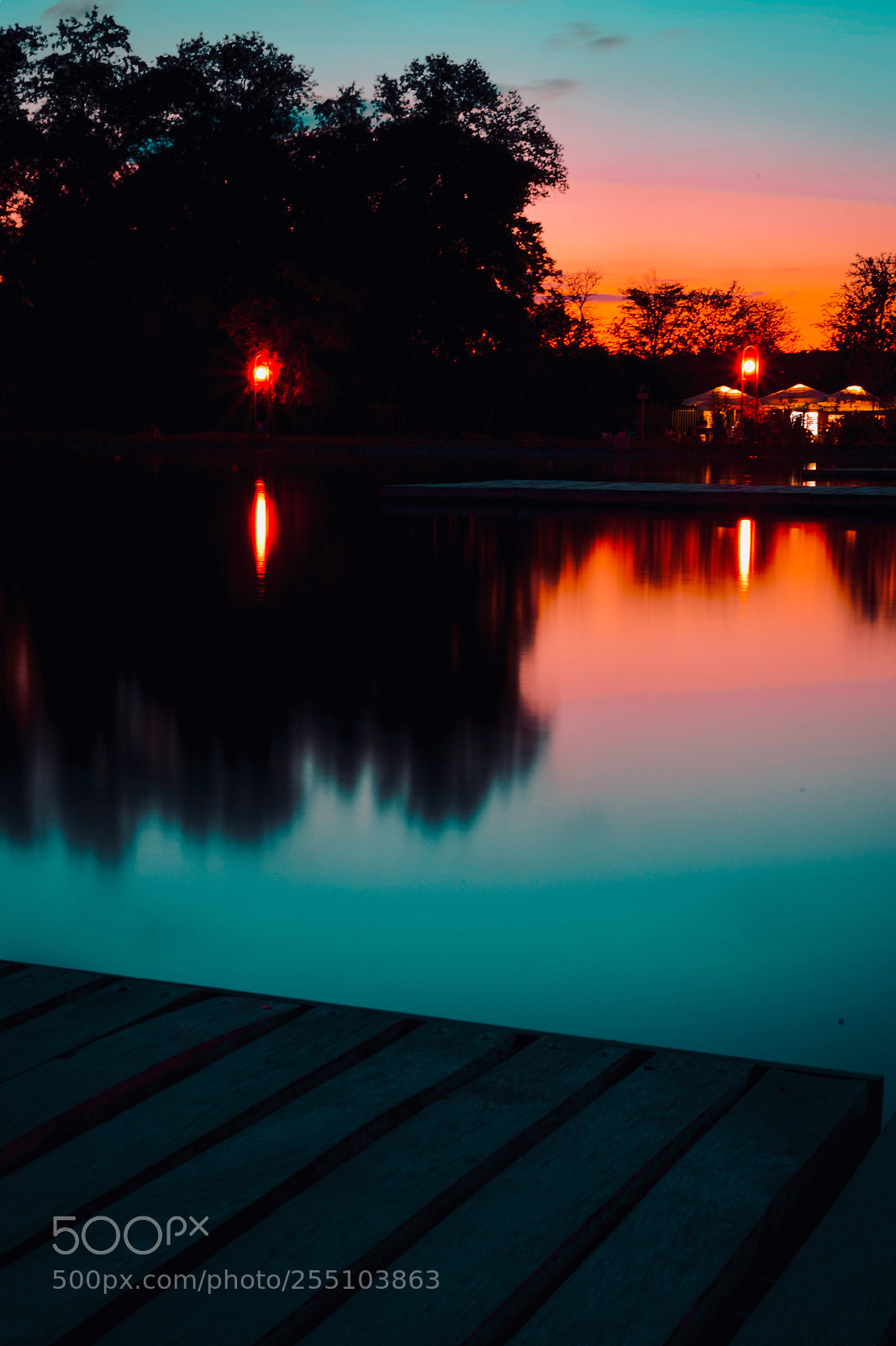 Sony a7 II sample photo. ? photography
