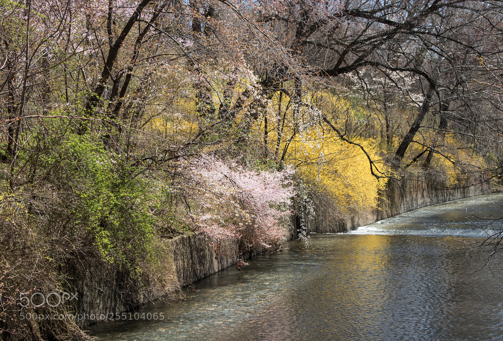 Canon EOS 800D (EOS Rebel T7i / EOS Kiss X9i) sample photo. The colors of springtime photography