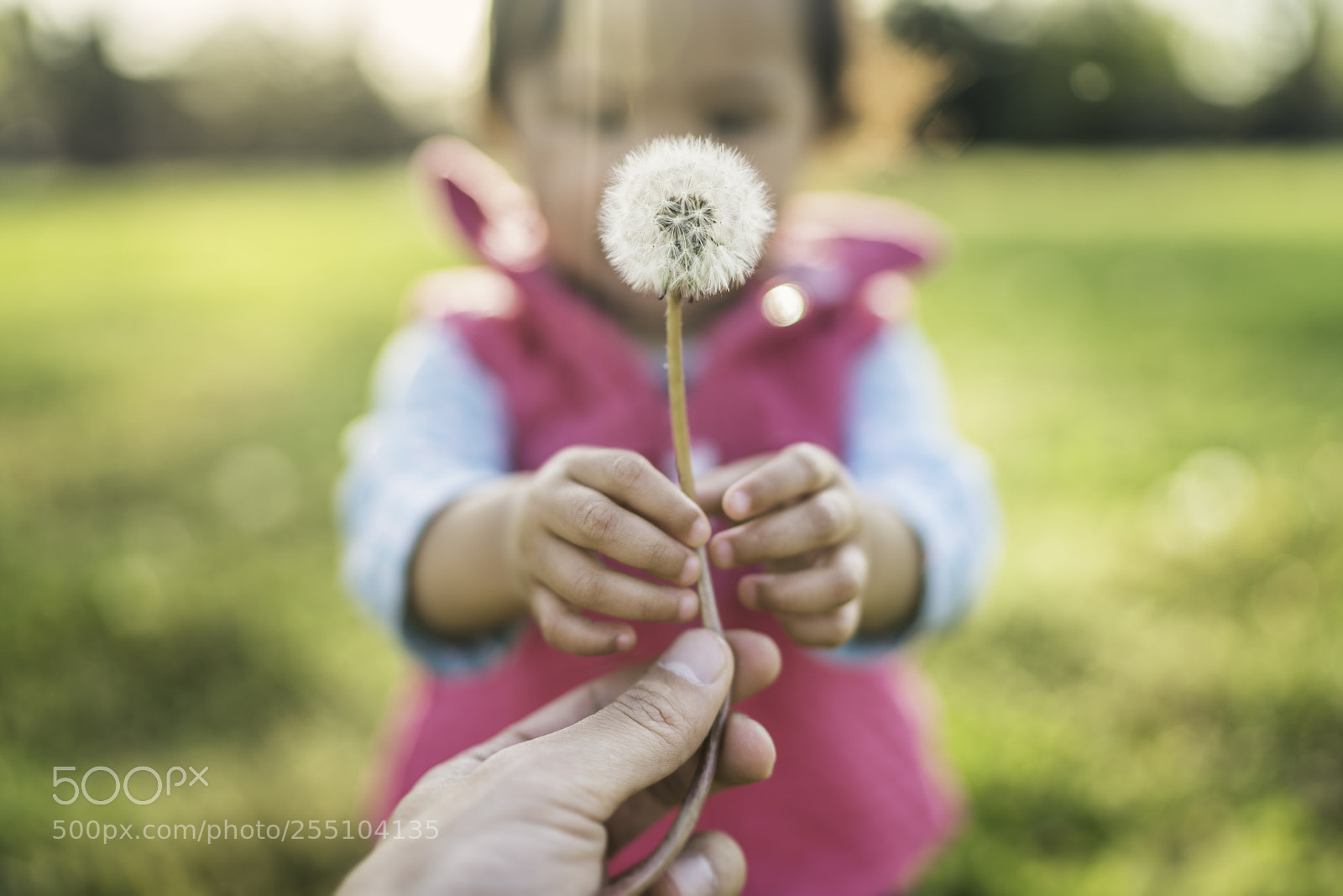 Sony a7R III sample photo. Edit photography