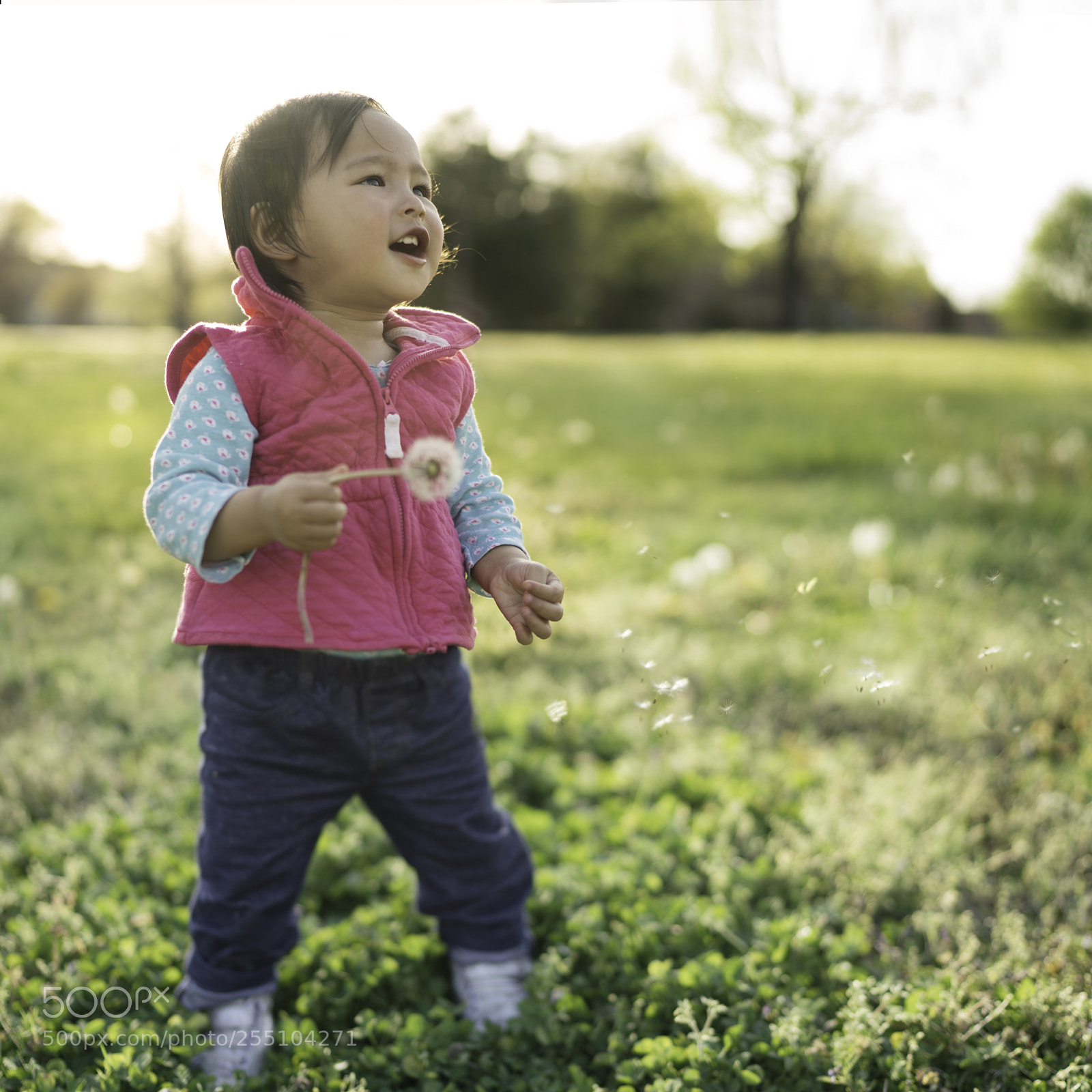 Sony a7R III sample photo. Edit photography