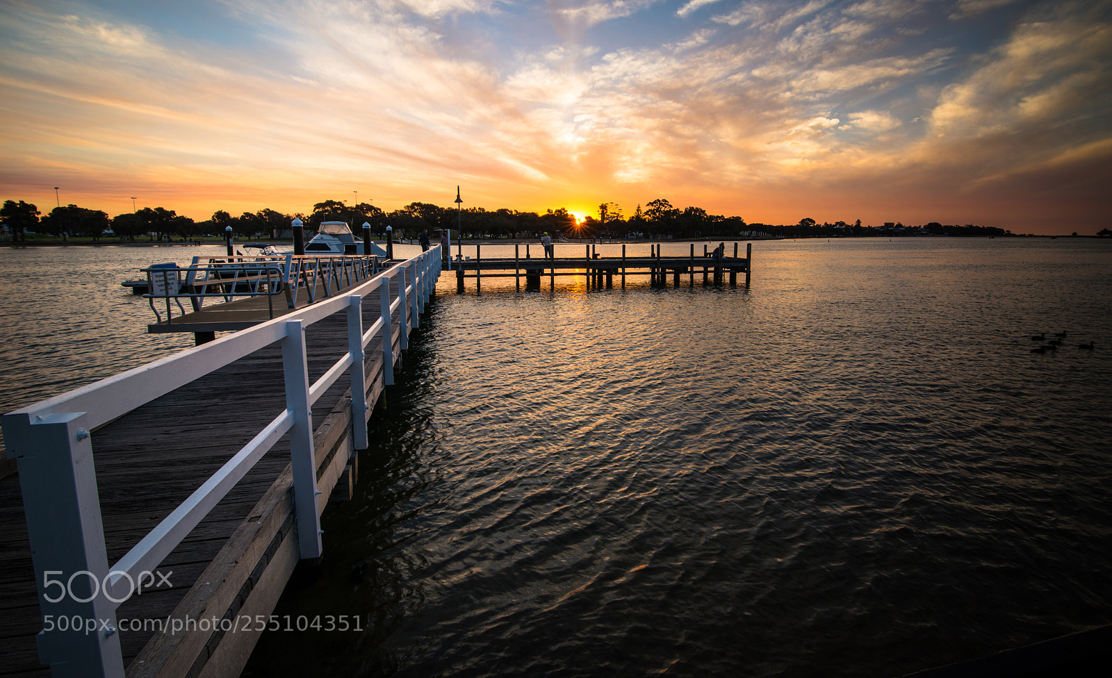 Nikon D800 sample photo. Mandurah foreshore jetty photography