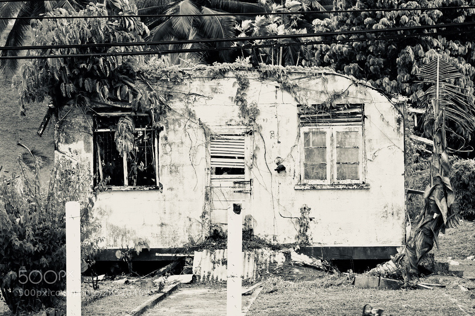 Nikon D5600 sample photo. This old house photography