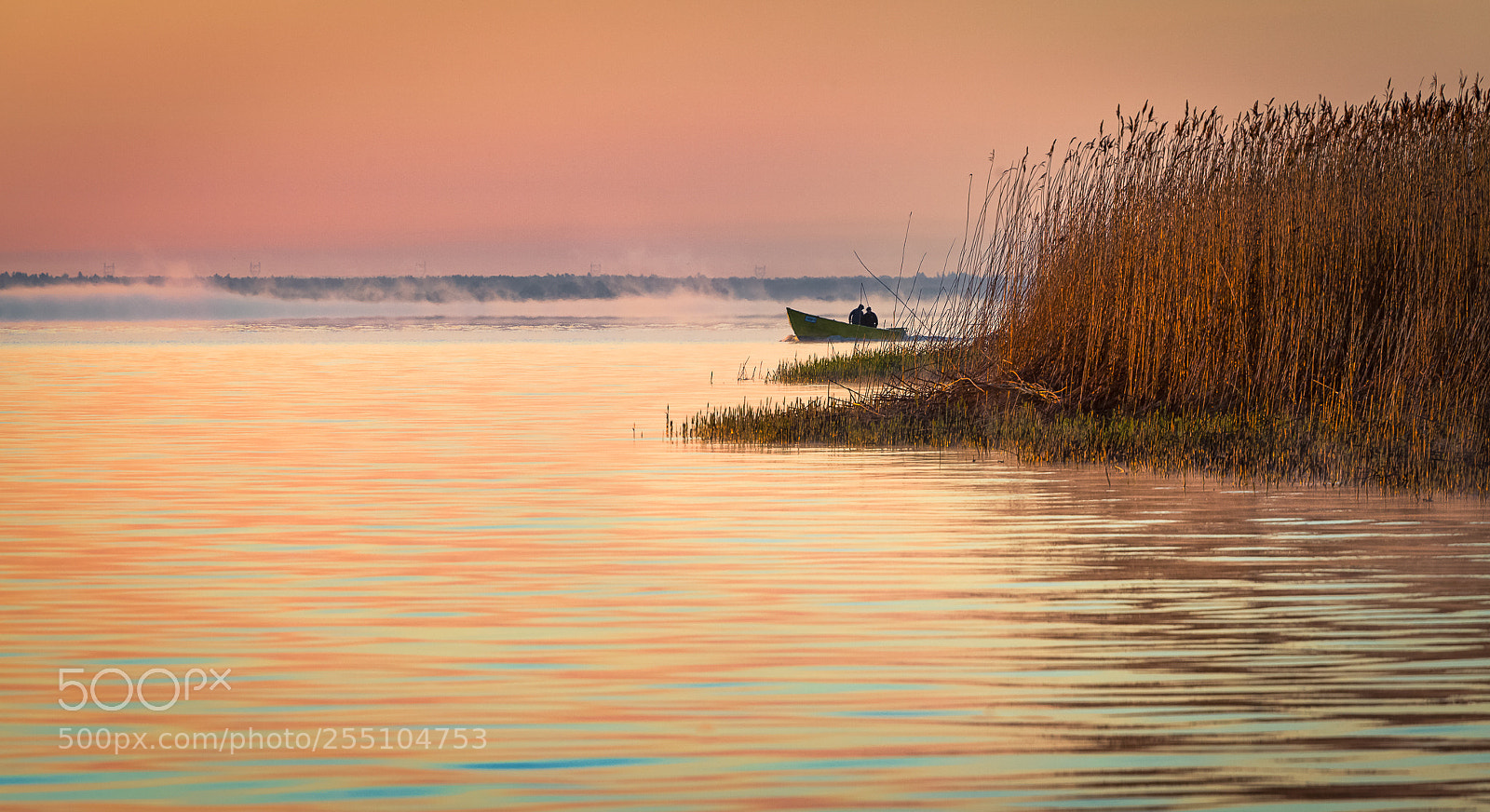 Canon EOS 5D Mark II sample photo. On the lagoon in photography