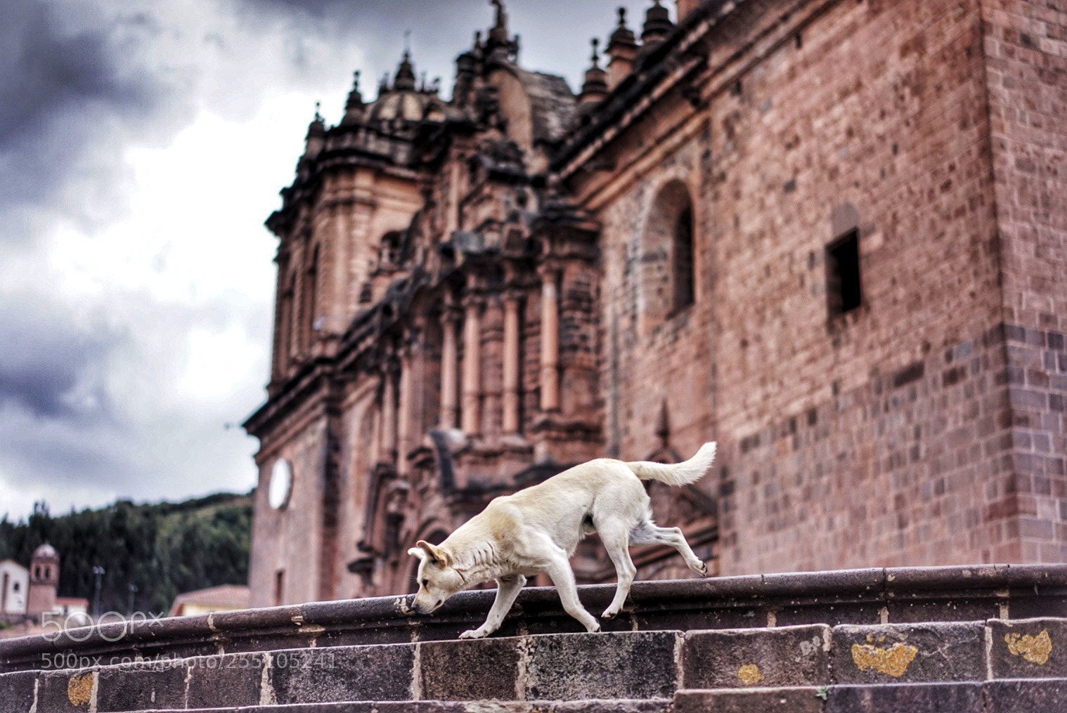 Sony a7R sample photo. A glimpse into the photography