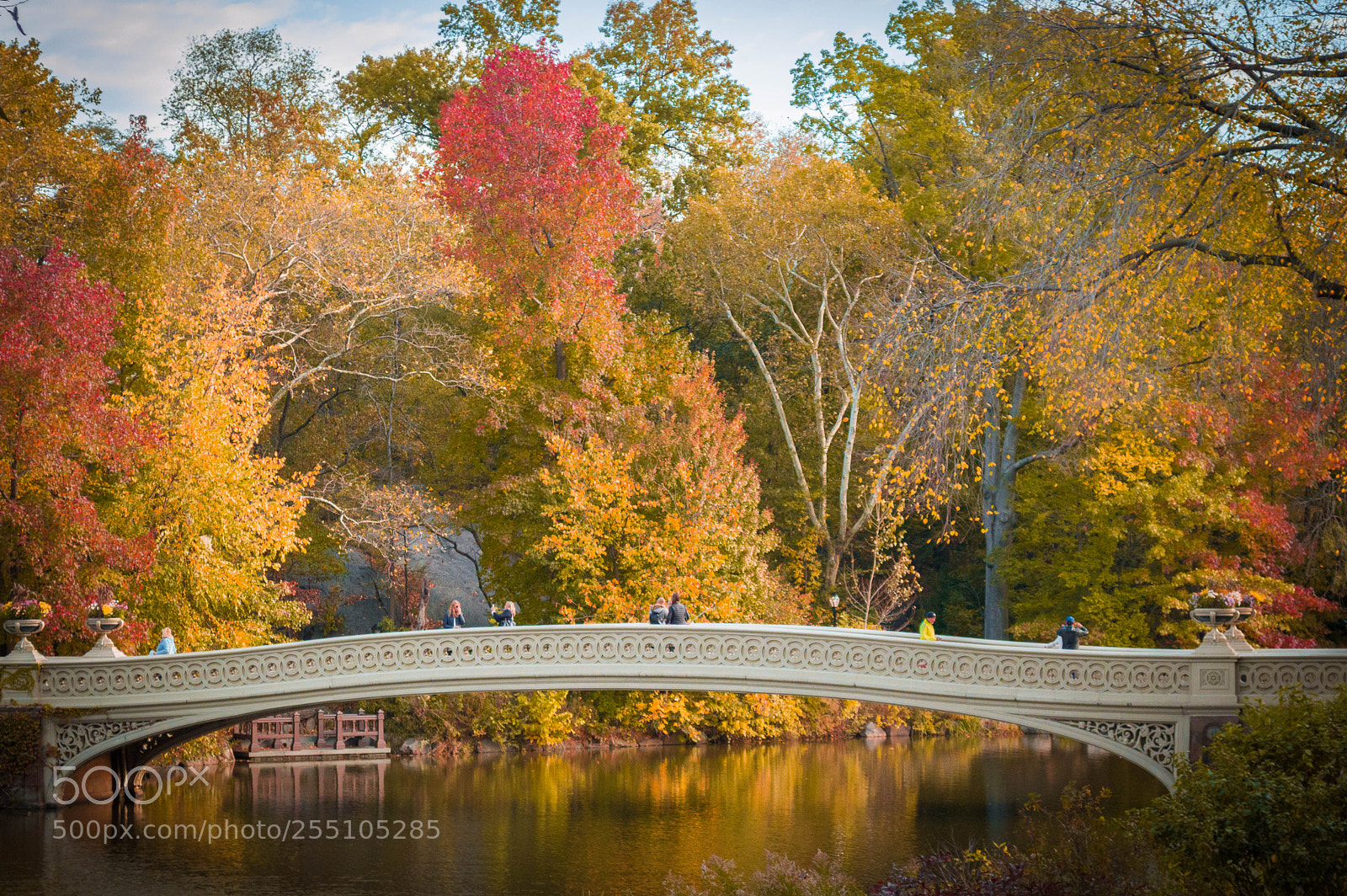 Nikon D3200 sample photo. Autumn in new york photography