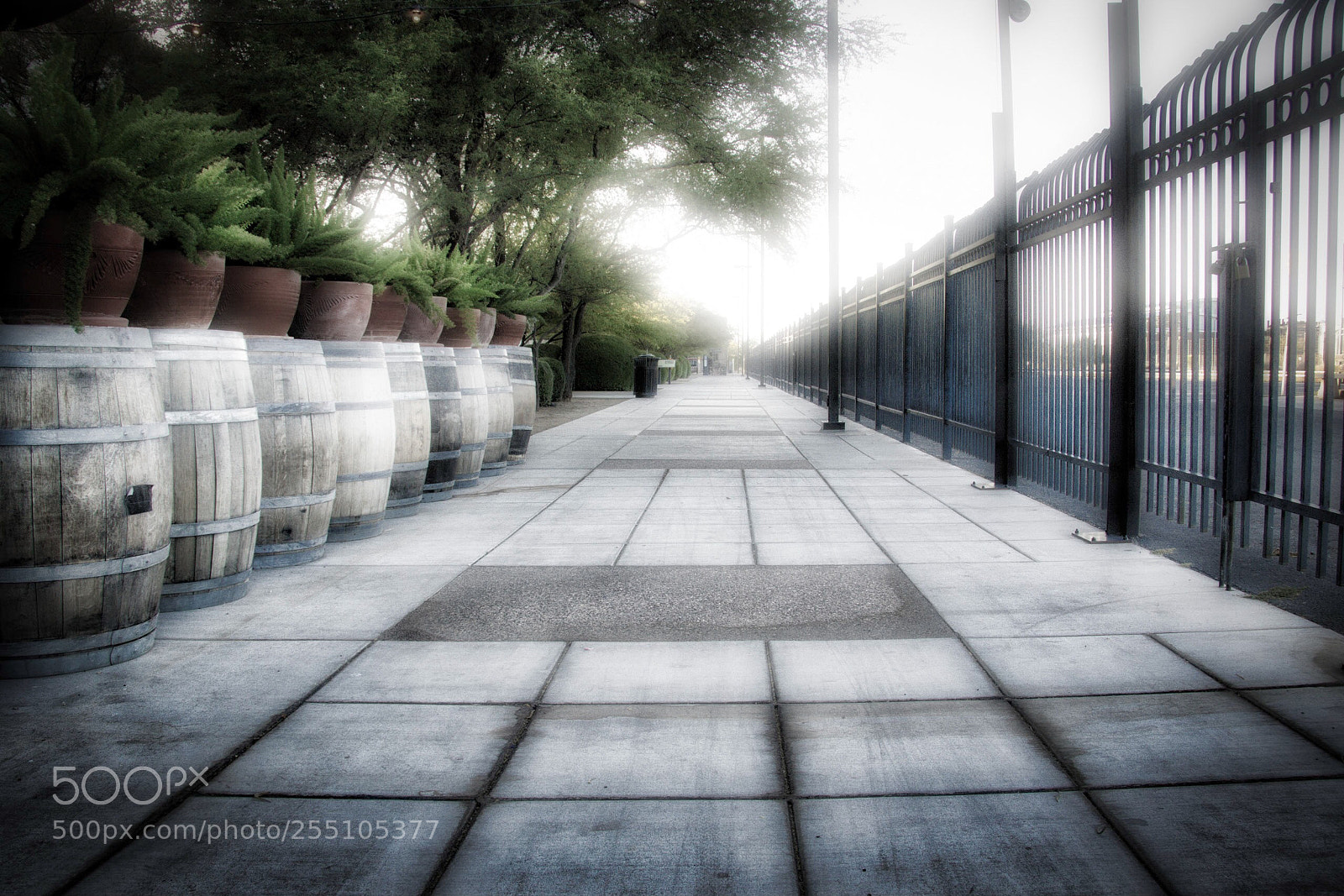 Canon EOS 7D Mark II sample photo. Along the rail depot photography
