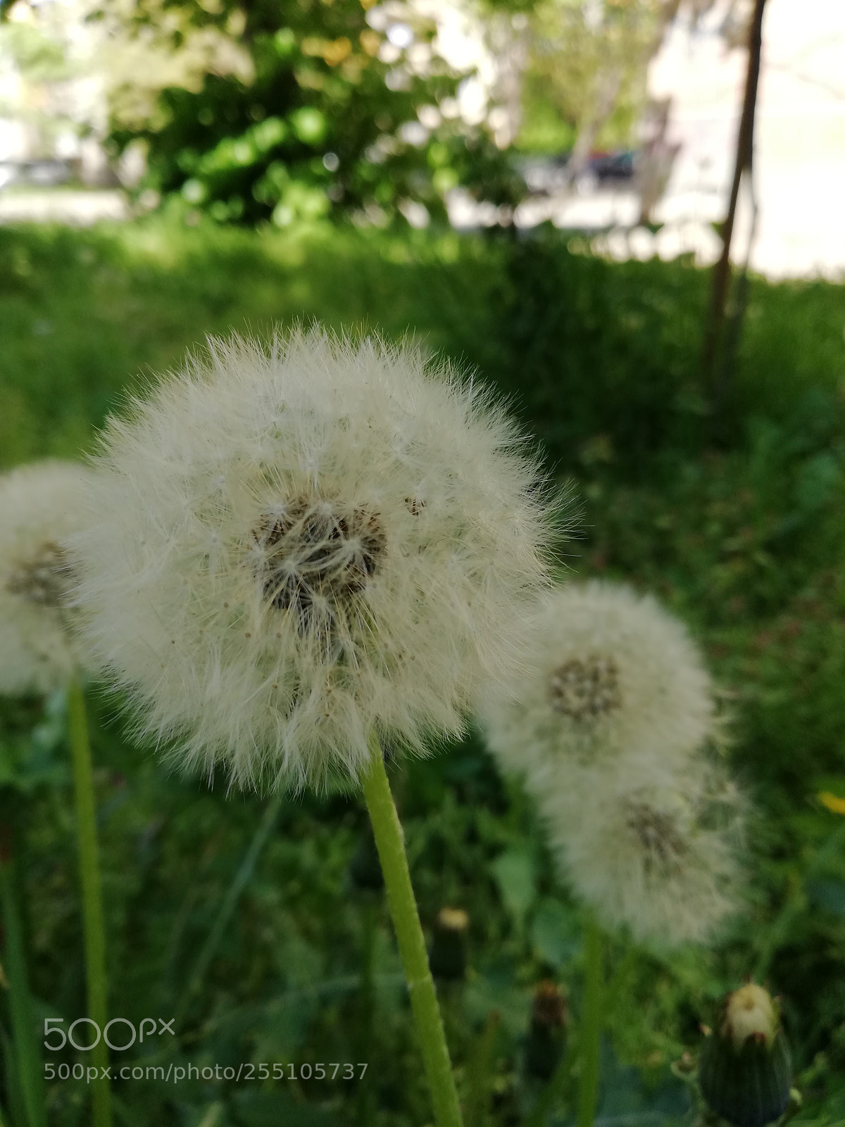 HUAWEI Mate 10 Lite sample photo. Untitled photography