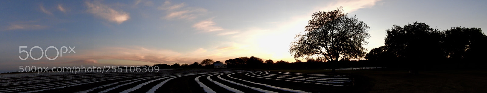 Nikon Coolpix B700 sample photo. 180 degree panorama of photography