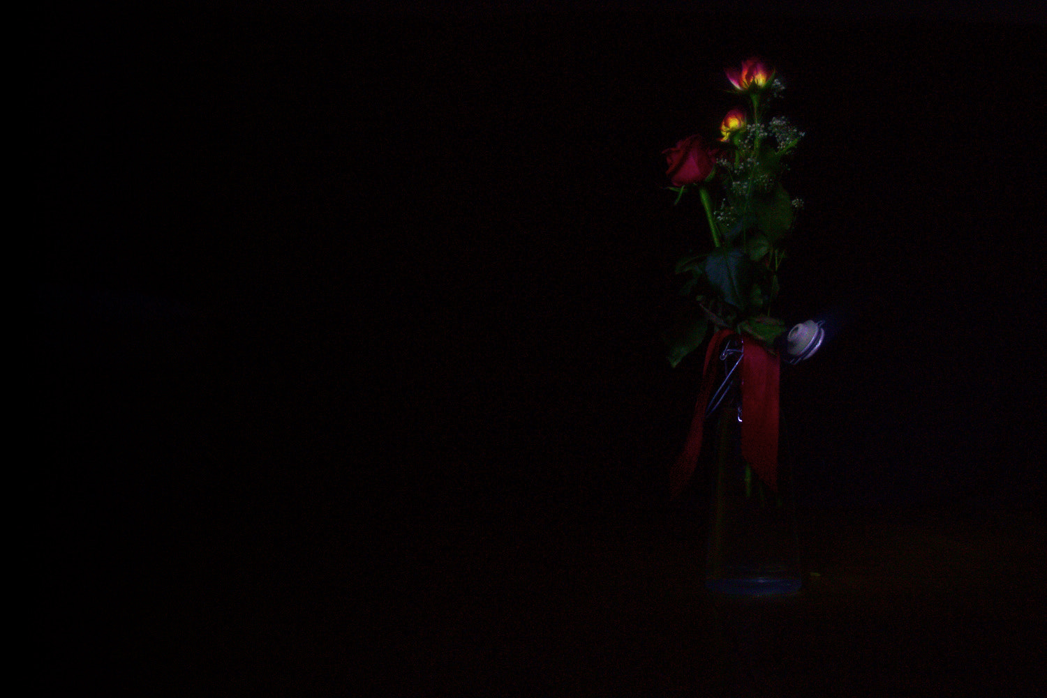Canon EOS 100D (EOS Rebel SL1 / EOS Kiss X7) sample photo. Light painted roses photography