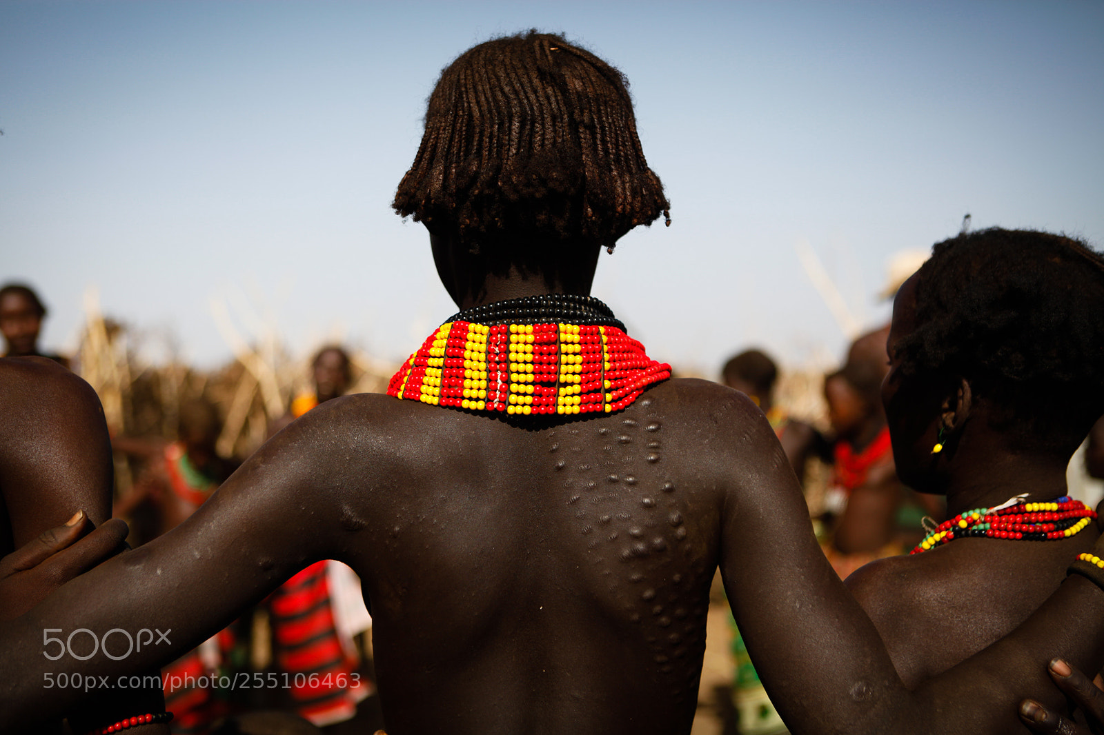 Canon EOS 5D Mark II sample photo. Scarified photography