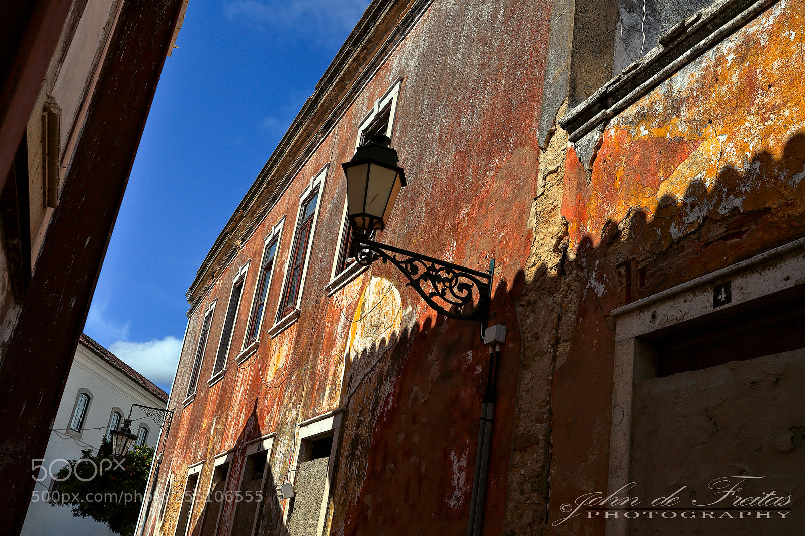 Canon EOS 5D Mark II sample photo. Looking up photography