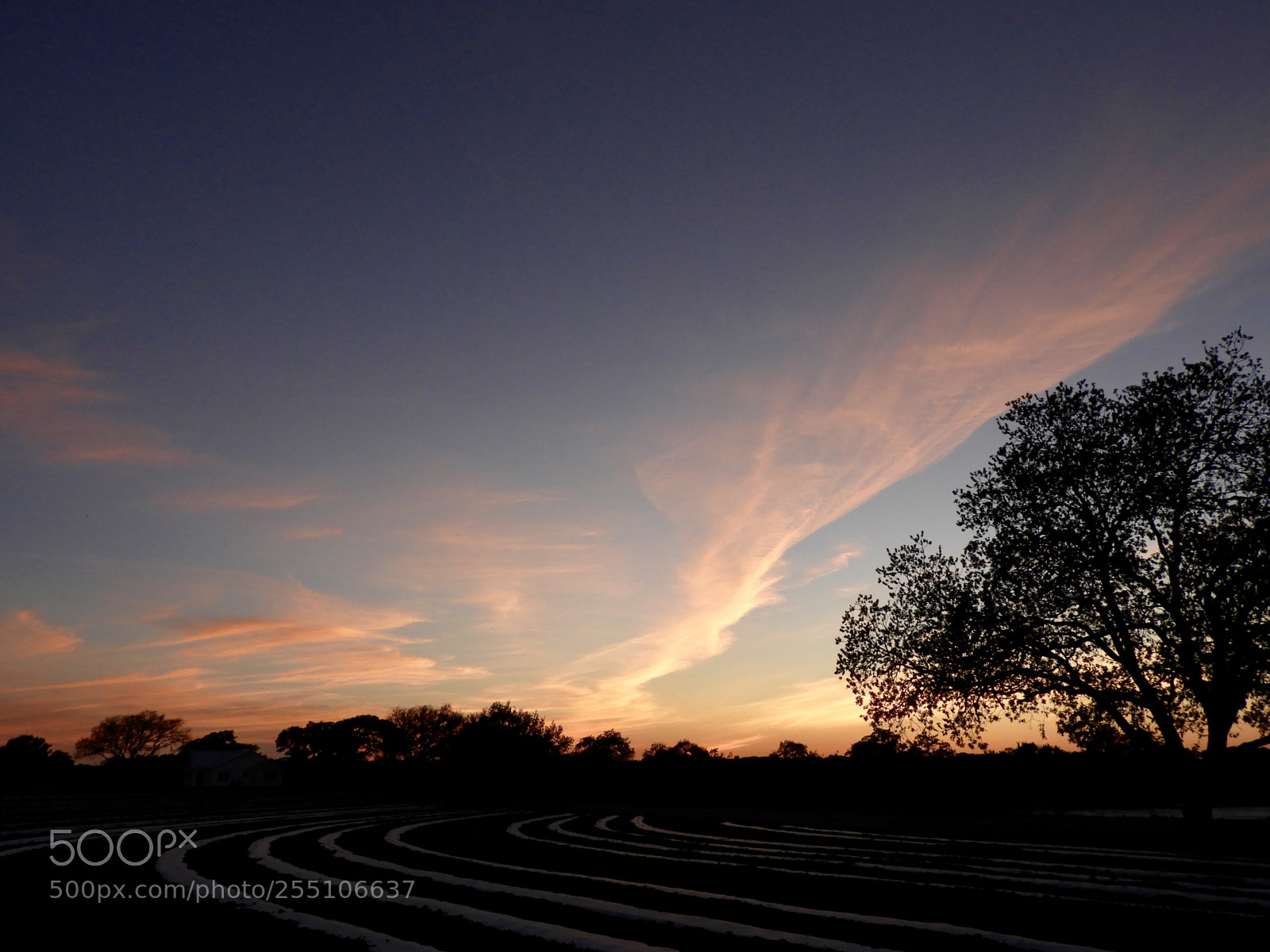 Nikon Coolpix B700 sample photo. Another fine spring sunset photography