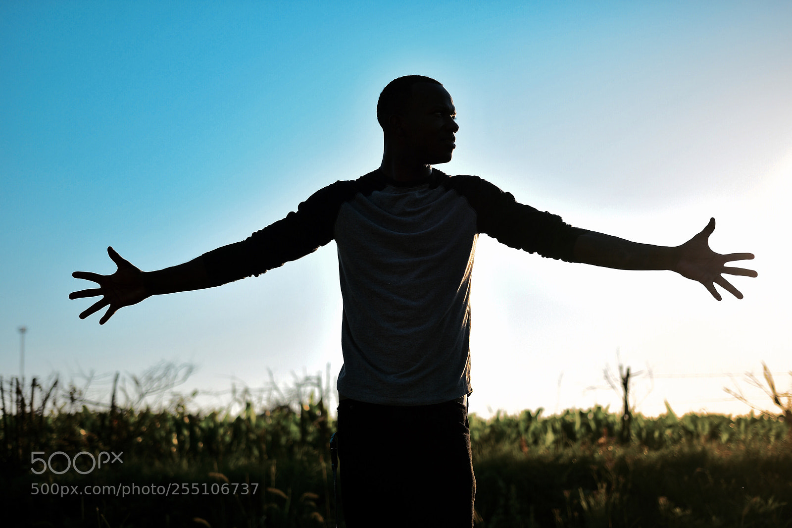Nikon D7200 sample photo. Country silhouette photography