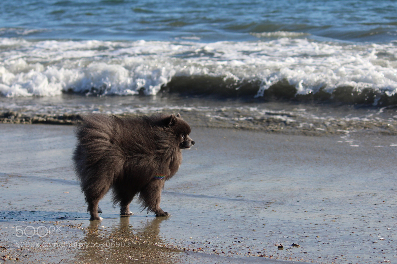 Canon EOS 1200D (EOS Rebel T5 / EOS Kiss X70 / EOS Hi) sample photo. Ocean jasper photography