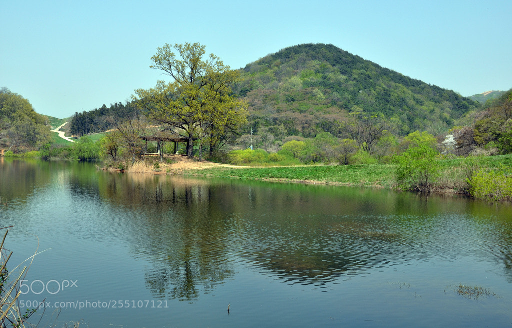 Nikon D90 sample photo. 사본 () photography