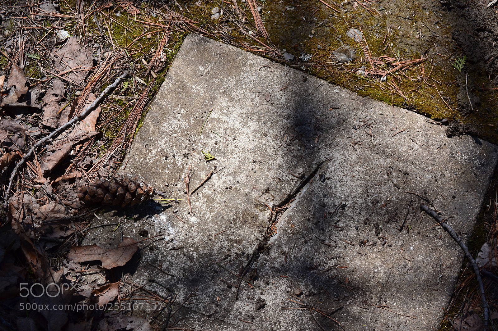 Nikon D3100 sample photo. Stone photography