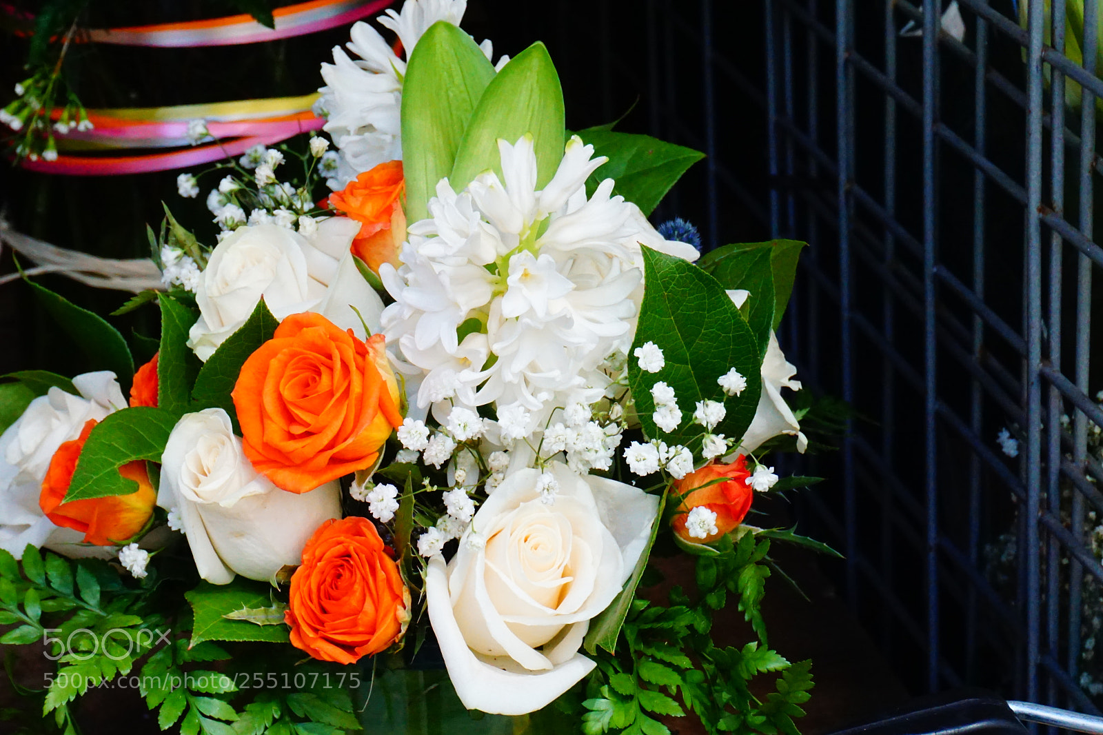 Sony a6000 sample photo. Flower photography