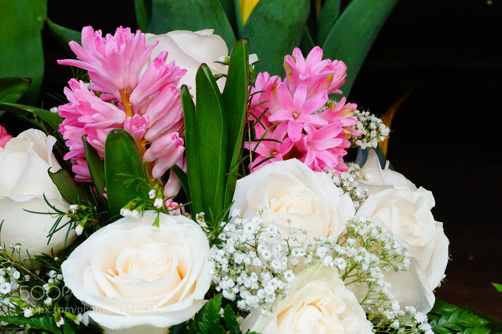 Sony a6000 sample photo. Flower photography
