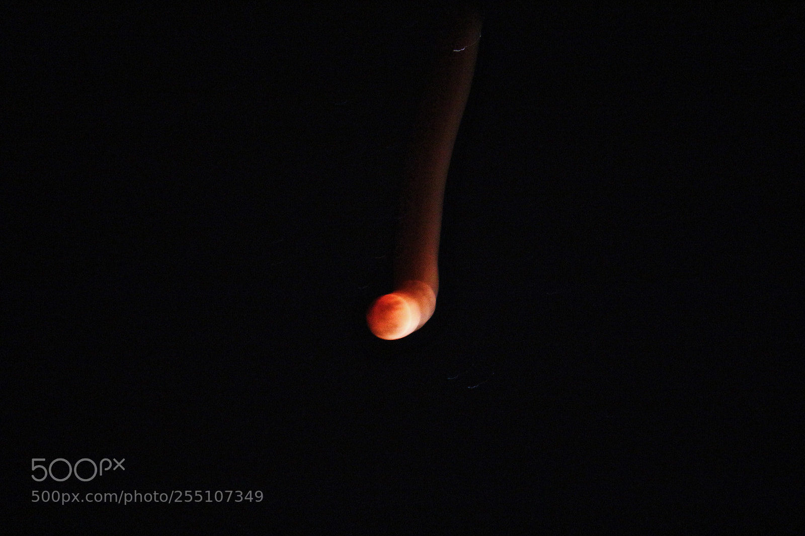 Canon EOS 700D (EOS Rebel T5i / EOS Kiss X7i) sample photo. Blue moon photography