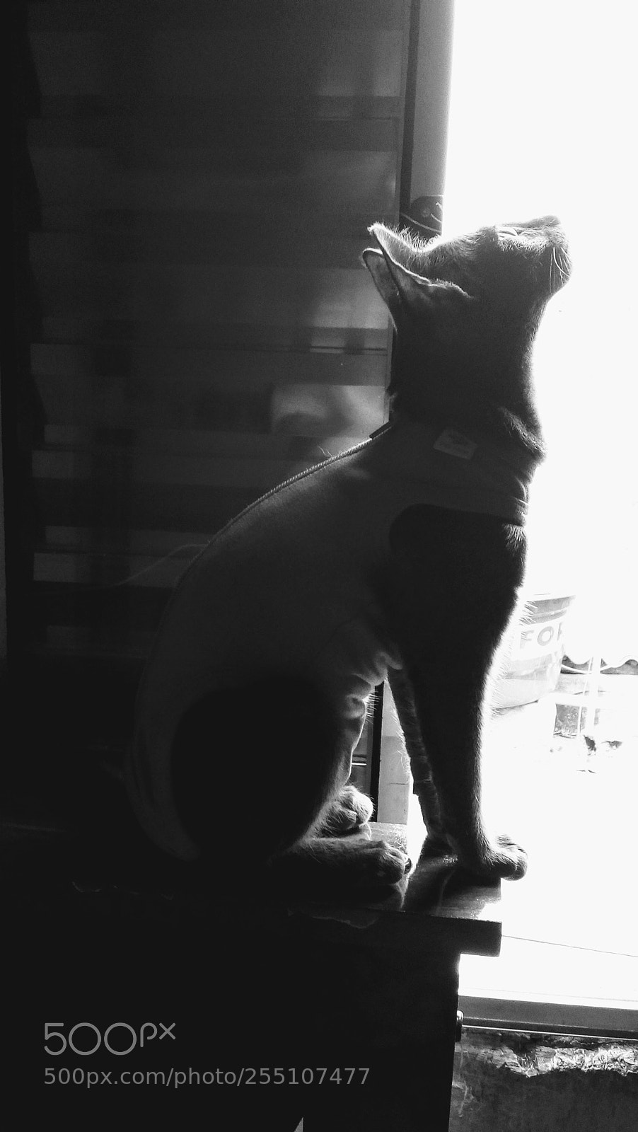 Motorola Moto E4 sample photo. Untitled photography