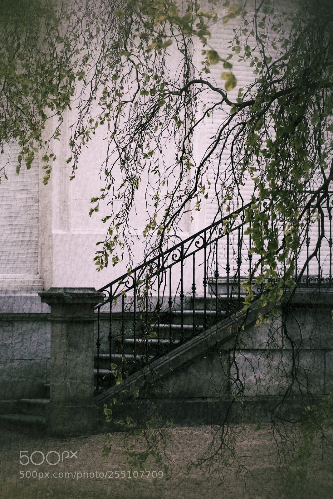 Fujifilm X-E3 sample photo. Stairs photography