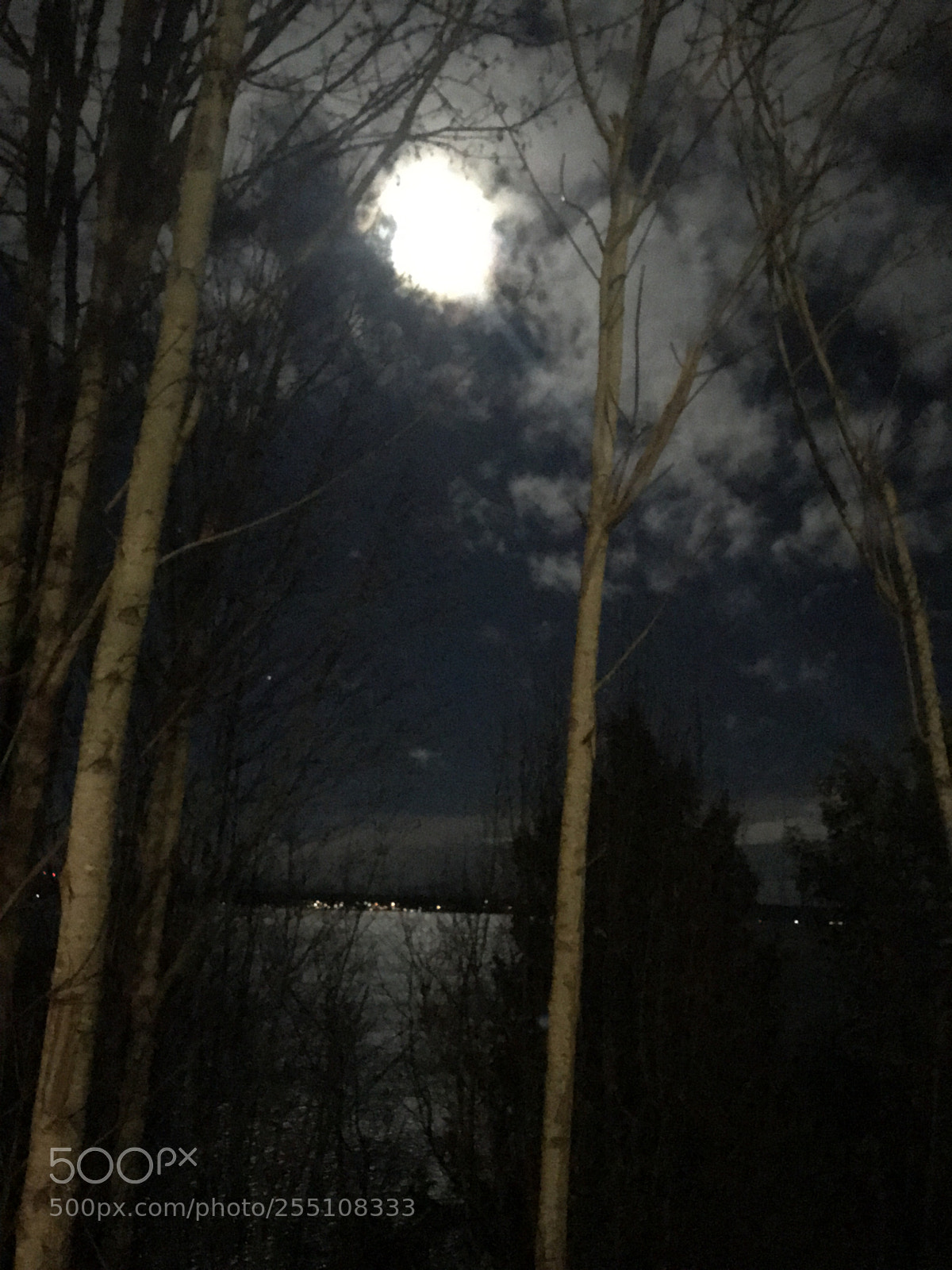 Apple iPhone 7 Plus sample photo. Moonshine  photography
