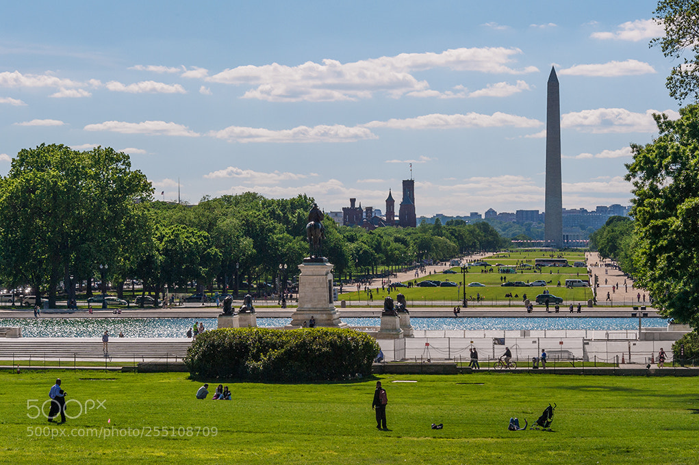 Nikon D700 sample photo. The mall photography