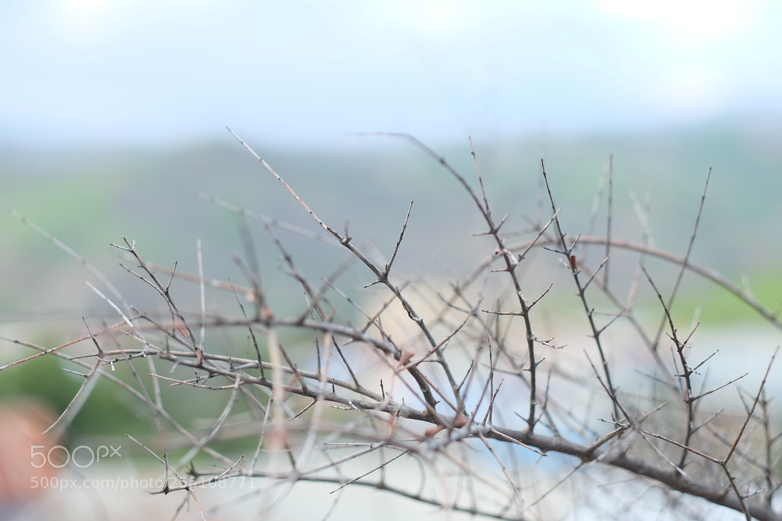 Fujifilm X-Pro1 sample photo. Untitled photography
