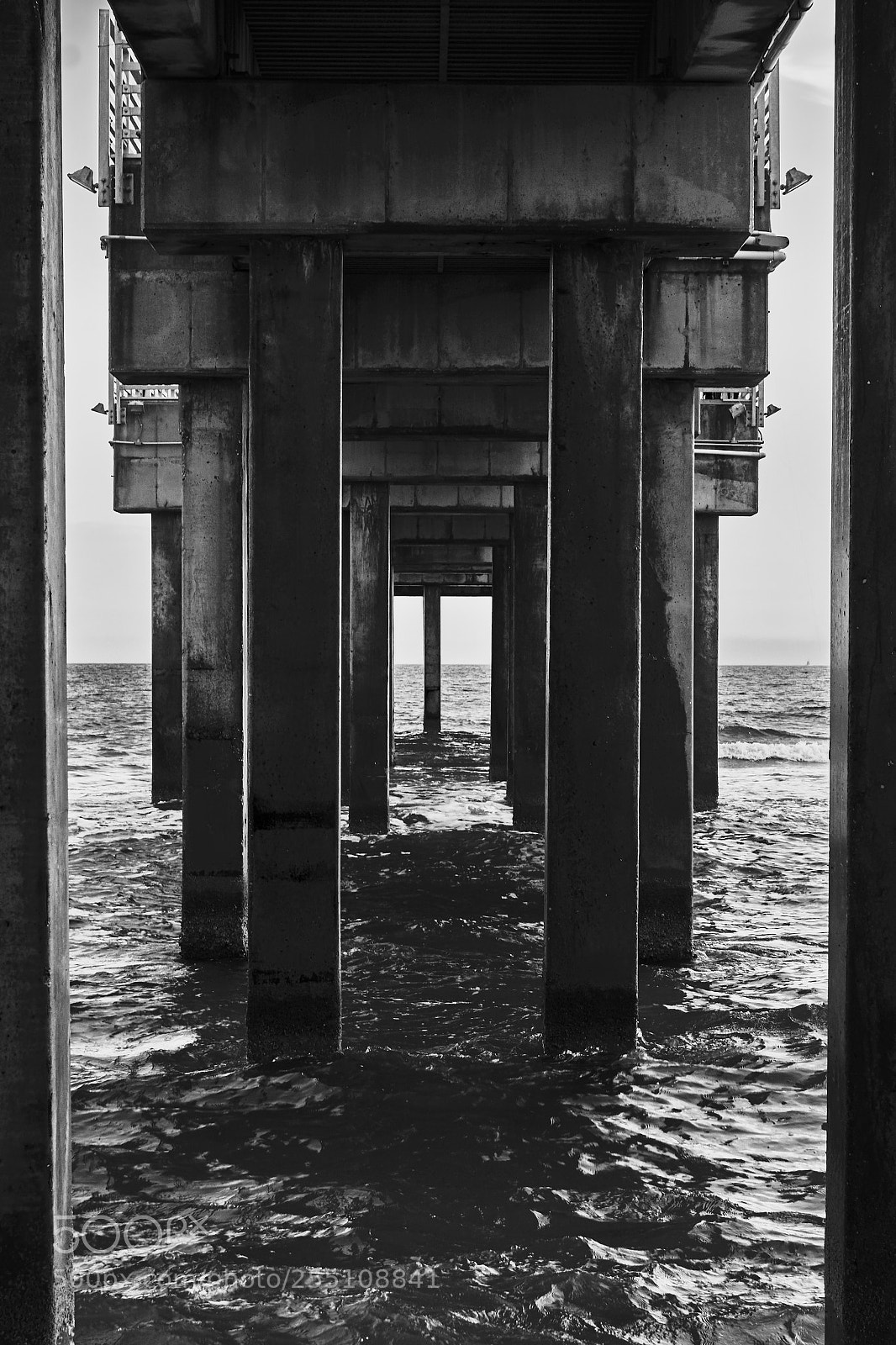 Sony a6000 sample photo. Black and white bridge photography