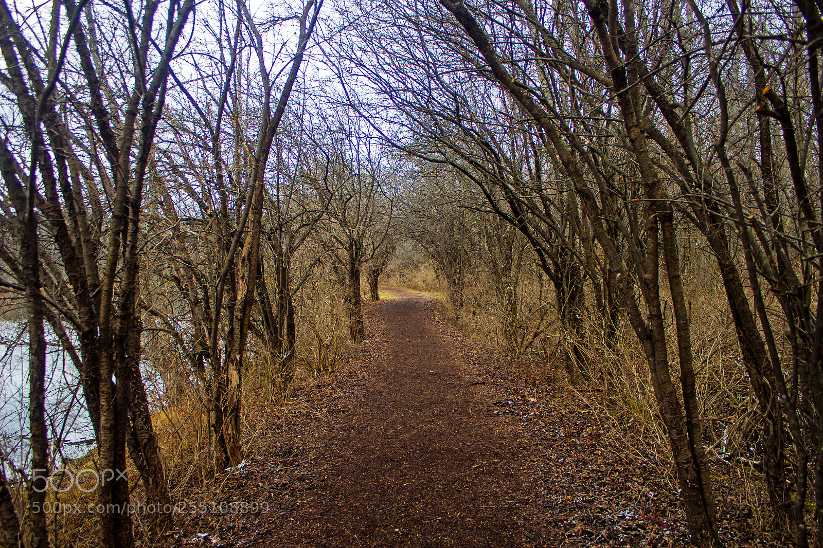Canon EOS 600D (Rebel EOS T3i / EOS Kiss X5) sample photo. The lonely road photography