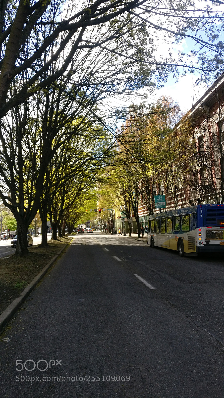 OnePlus A3003 sample photo. Portland, redifining greenery photography