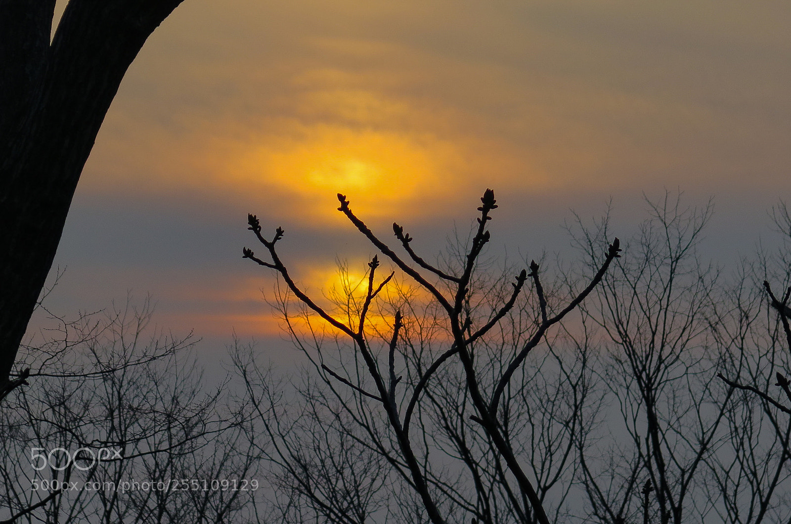 Canon PowerShot G16 sample photo. Sunset from senshu park photography