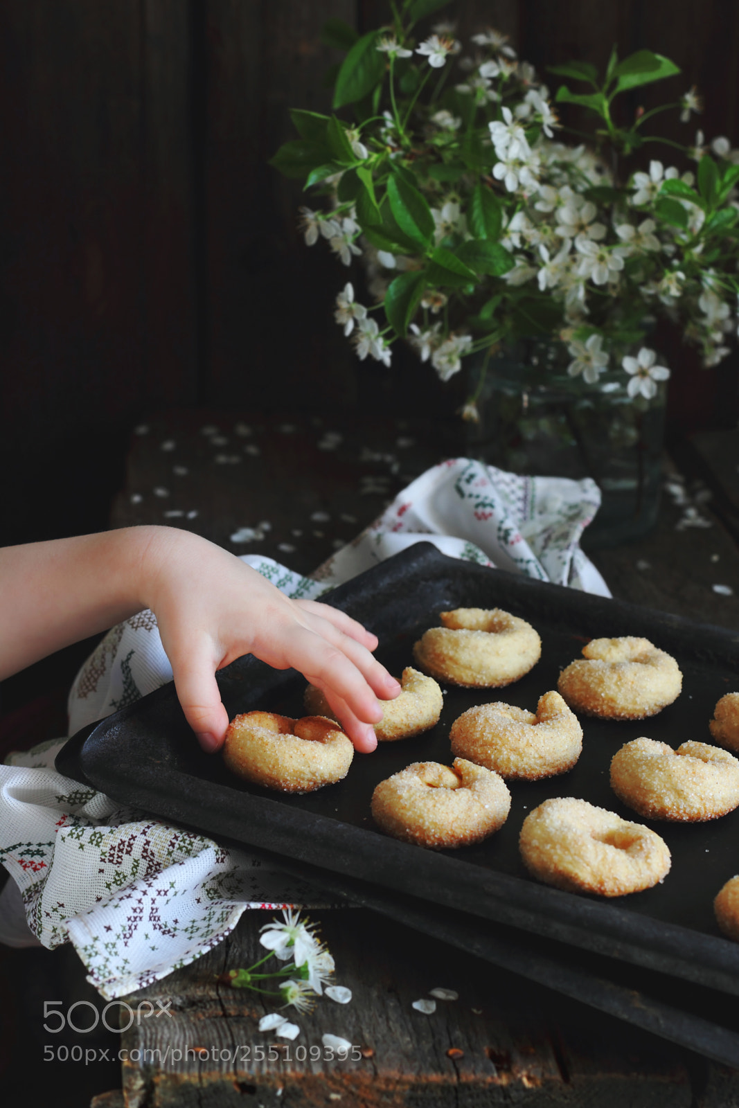 Canon EOS 60D sample photo. Child takes homemade cookies photography