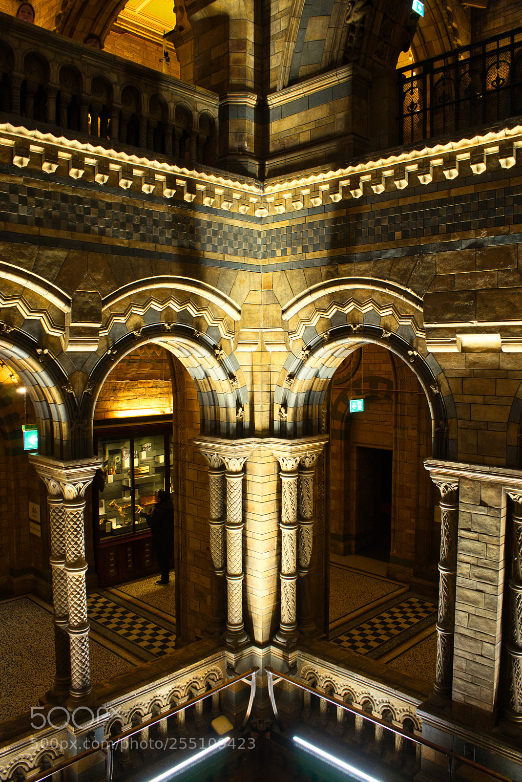 Sony a7 sample photo. Natural history museum, london photography