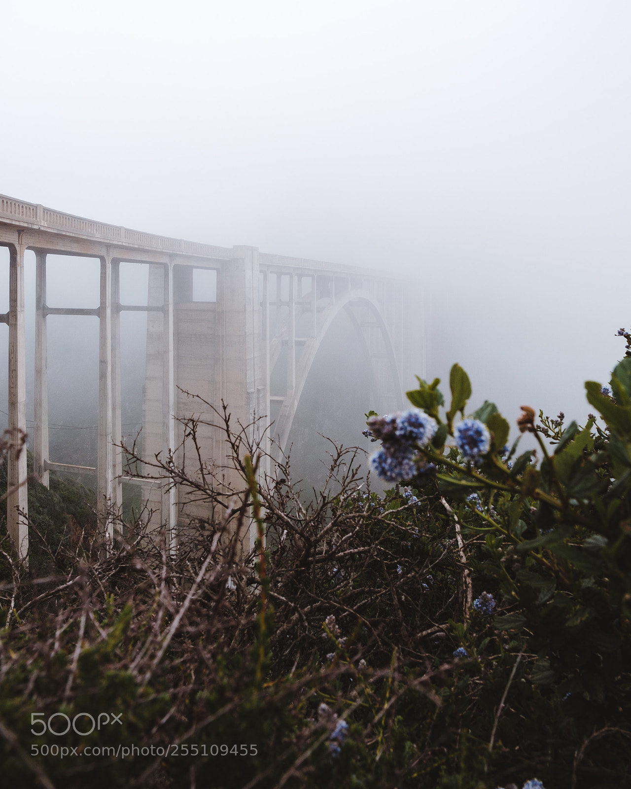 Fujifilm X-T2 sample photo. Moody morning at bixby photography