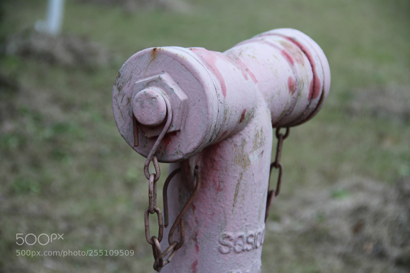 Canon EF-S 18-135mm F3.5-5.6 IS sample photo. Have you ever noticed photography