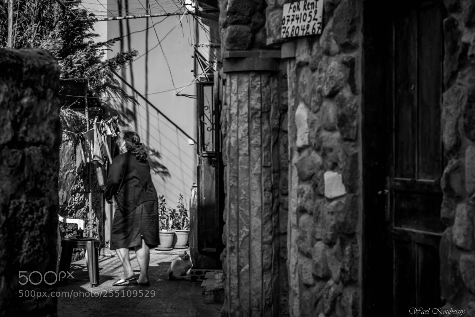 Nikon D5500 sample photo. In the alley photography