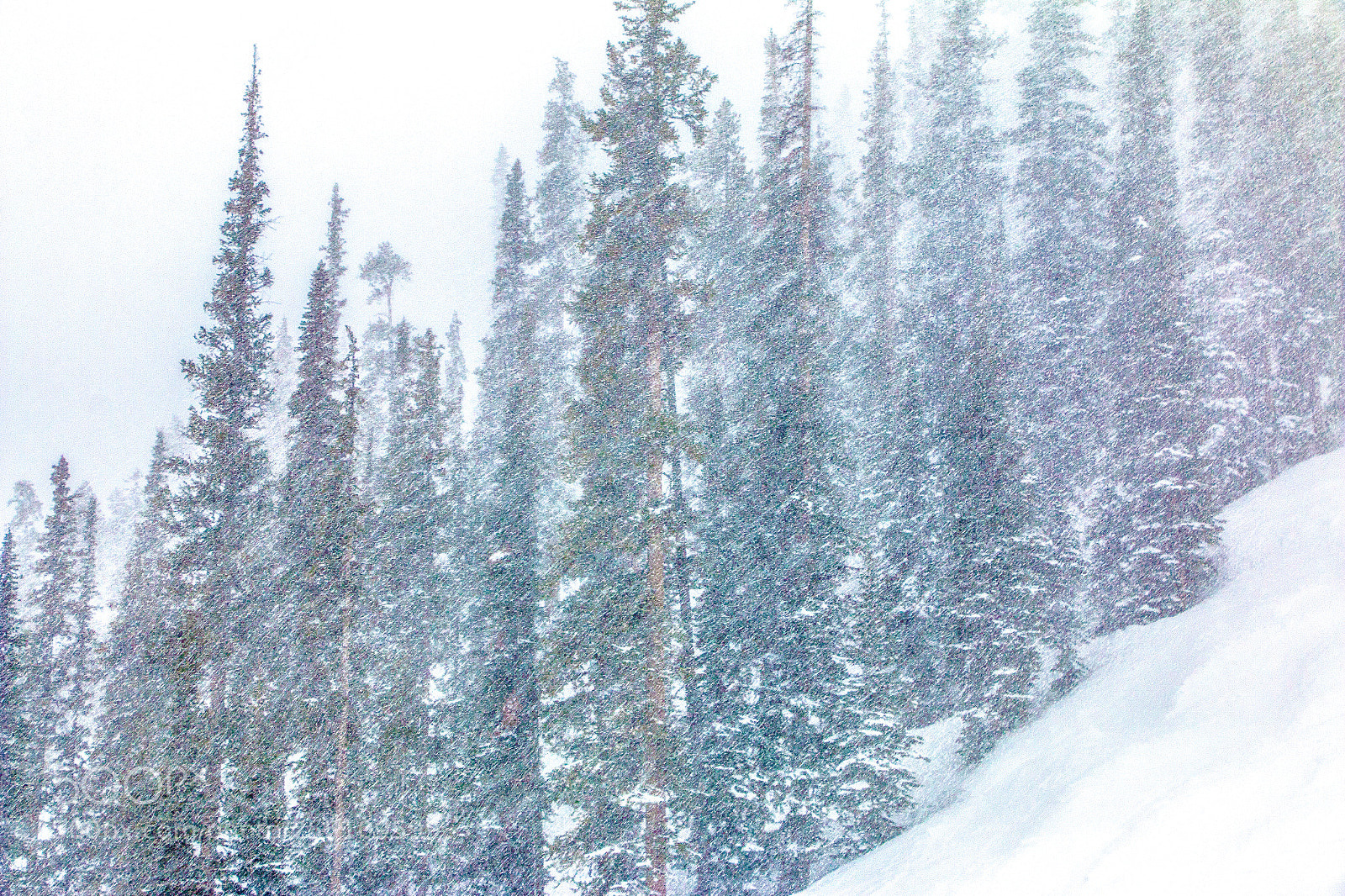 Canon EOS 70D sample photo. Snow at winter park photography