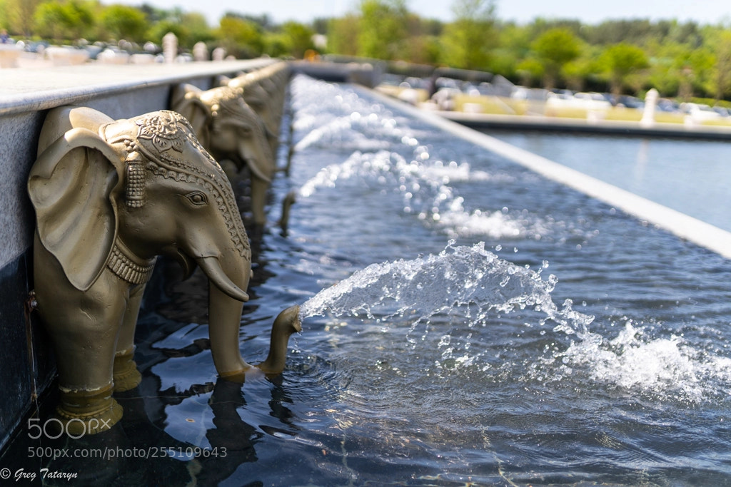 Sony a7 III sample photo. Baps shri swaminarayan mandir photography
