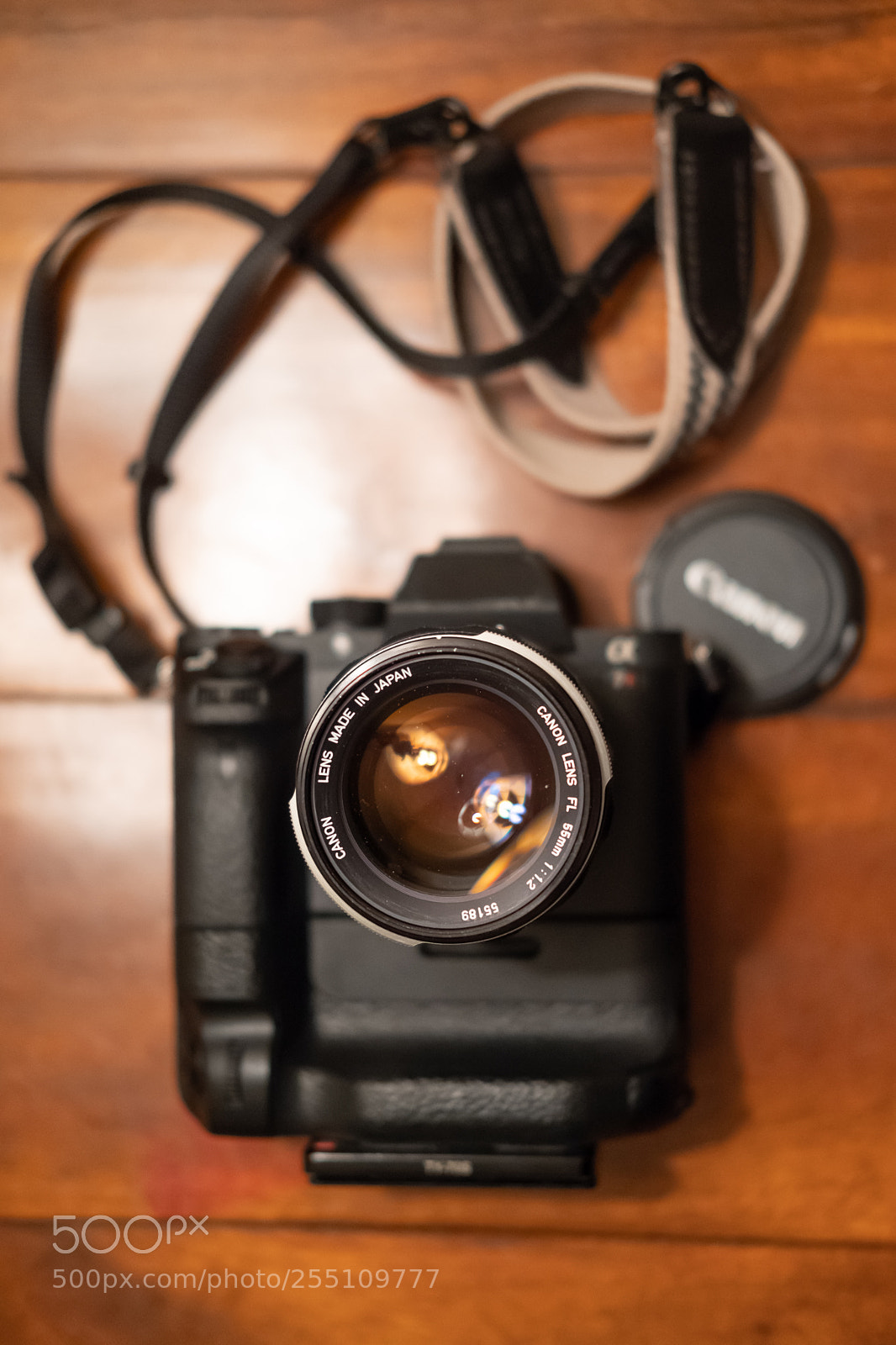 Fujifilm X-Pro2 sample photo. A beast photography